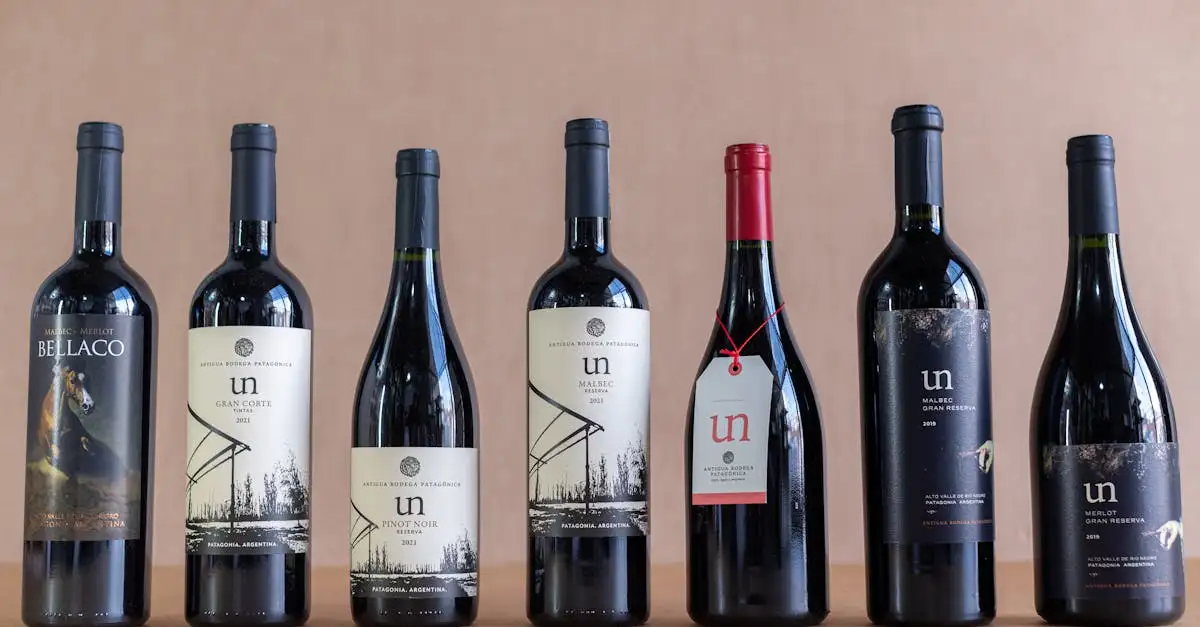 Ontdek de beste selectie Argentijnse wijnen en Malbec