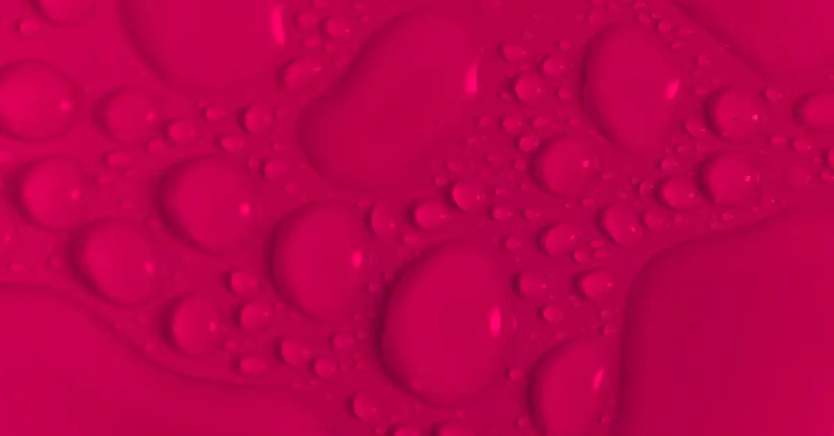Cholesterol en rode wijn: wat is het effect?