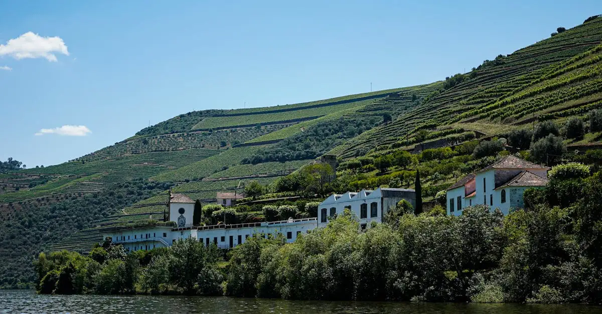 Ontdek de beste Douro wijnen uit Portugal