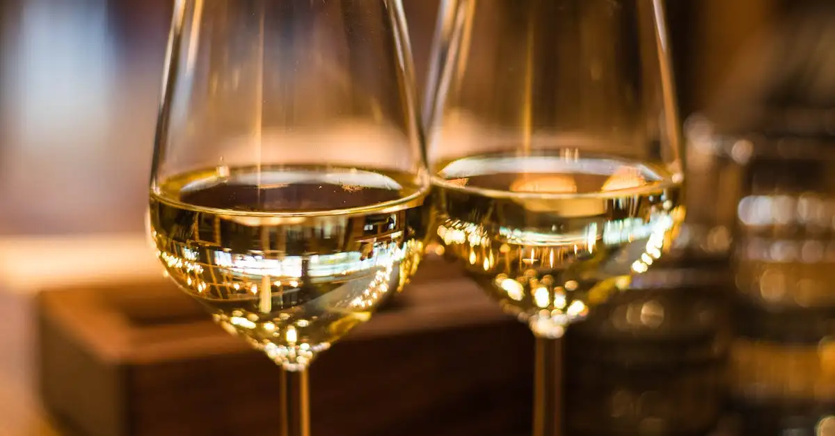 Wijn glas