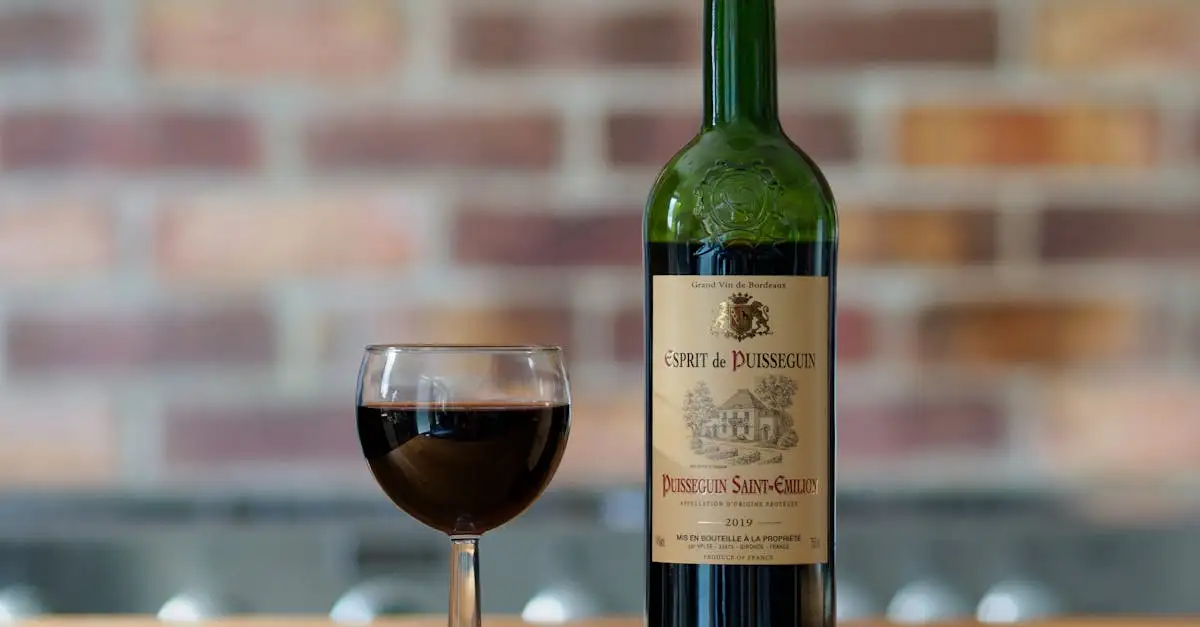 Saint Emilion wijn kopen | Ontdek de beste Bordeaux wijnen