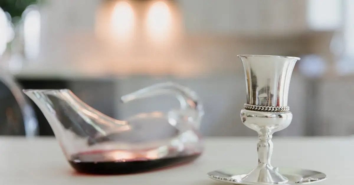 Wijn decanteerkaraf kopen? Ontdek ons assortiment