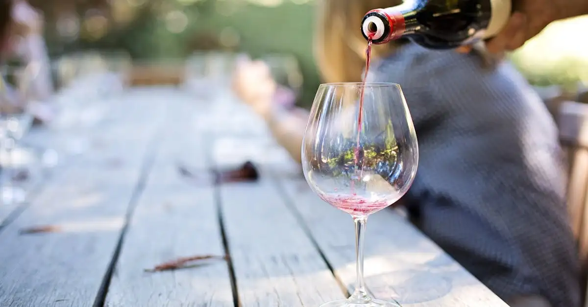 Wijn drinken: Ontdek de beste wijnen en proeverijen